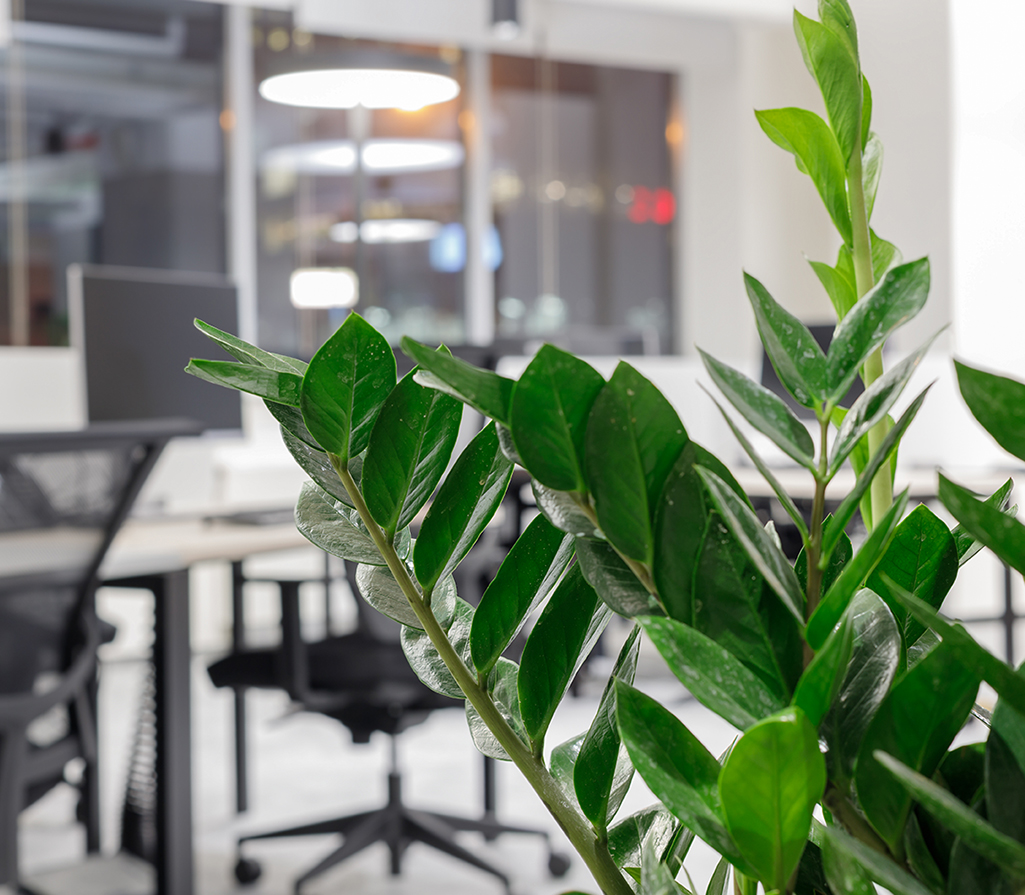 A leading recruiter for
business products
and services
