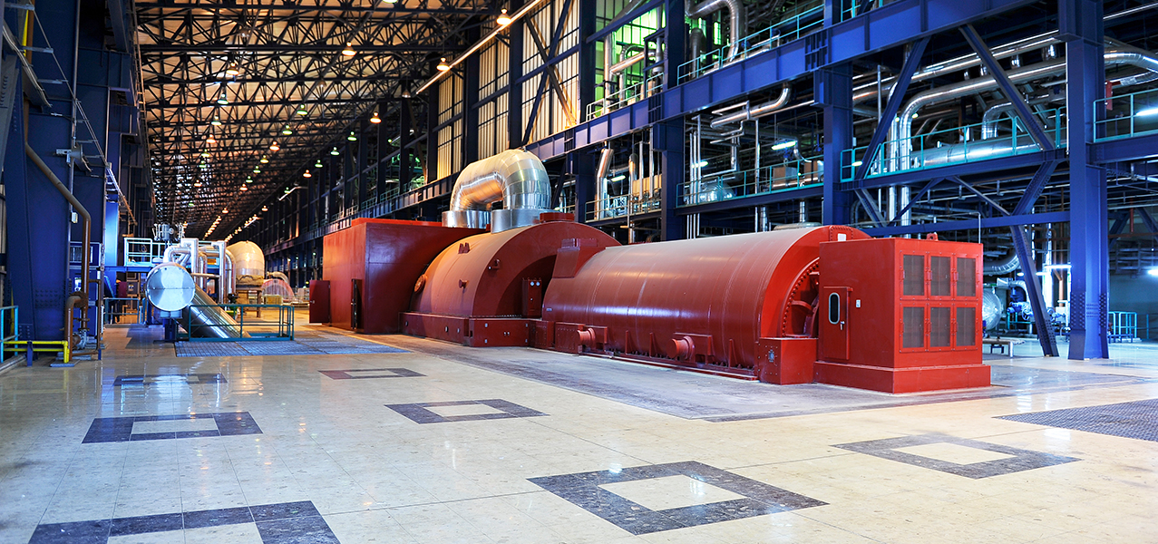 Our specialisms include